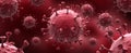 Corona Virus Covid-19 Royalty Free Stock Photo