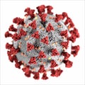 Corona virus covid-19 shape of corona virus gray red and orange for medical student study