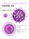 Corona virus disease covid-19, sars-cov-2 cell model