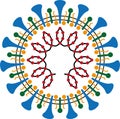 Coronavirus Covid-19 Corona virus scheme cross section vector