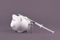 Corona virus vaccination costs concept with syringe, vaccine vial and piggy bank