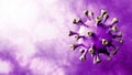 Corona Virus Violet Rotation spinning in center Isolated with Dinamic Background. Microbiology And Virology Concept Covid-19.