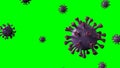 Corona Virus Violet Rotation spinning in center Isolated with Green Screen. Microbiology And Virology Concept Covid-19. Virus