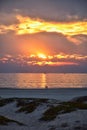 Coronado Beach in San Diego by the Historic Hotel del Coronado, at sunset with unique beach sand dunes, panorama view of the Pacif Royalty Free Stock Photo