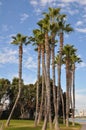 Coronado Island in San Diego, California Royalty Free Stock Photo