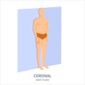 Coronal scanning plane for probe orientation position diagram