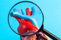 Coronary vessels of the heart under a magnifying glass on a blue background. Concept of examining heart vessels with