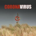 Coronavirus - a background for publications regarding worldwide pandemic crisis