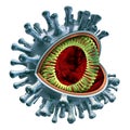 Coronavirus Cell Anatomy