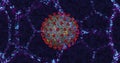 Coronavirus cell COVID-19 close up on neon molecular structure background. 3D rendering 3D illustration