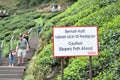 Top View BOH Tea Plantation qt Ringlet ,Pahang,