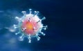 Coronavirus COVID-19 Virus Illustration Isolated