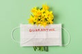 Coronavirus covid 19 quarantine concept. Easter spring narcissus flowers with face medical mask on green background