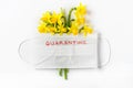 Coronavirus covid 19 quarantine concept. Easter spring narcissus flowers with face medical mask on white background