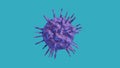 coronavirus COVID-19 under the microscope isolated on blue background , 3d illustration . Royalty Free Stock Photo