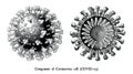 Coronavirus disease 2019 COVID-19. Component of Coronavirus cells engraving illustration vintage style black and white clipart