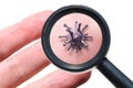 Coronavirus germ on fingers through magnifying glass, 3d illustration. Macro view of SARS-CoV-2 corona virus on hand skin