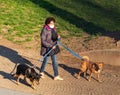 Coronavirus Italy in quarantine woman with mask and dogs