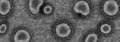 Coronavirus COVID-19 macro illustration, microscope view representation of deadly pathogen infection