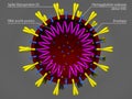 Coronavirus model