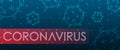 Coronavirus 2019-nCoV. SARS Pandemic. Chinese Virus