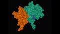 Crystal structure of SARS-CoV-2 nsp16 green-nsp10 brown-ligand ball-and-stick complex