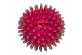 Coronavirus outbreak. Close-up of a red abstract model of a novel strain of the corona virus COVID-19 isolated on a white Royalty Free Stock Photo