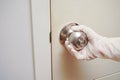 coronavirus outbreak, Virus and recovery concept, Opening a door. closeup on a hand touching a doorknob with glove to avoid