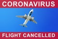 Coronavirus pandemic danger, covid 19 epidemic, air flights cancellation, airplane in the sky, airlines travel restrictions