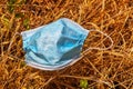 Coronavirus, concept. Blue surgical mask abandoned or forgotten by the owner in the countryside on the hay Royalty Free Stock Photo