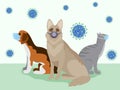 Coronavirus quarantine concept design. Pets wearing medical masks from COVID-19. Vector illustration