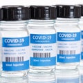 Coronavirus Vaccine bottle Corona Virus COVID-19 Covid vaccines square in a row Royalty Free Stock Photo