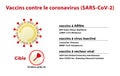 Coronavirus vaccines under development. Text in French.