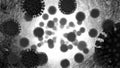 Group of Coronaviruses, greyscale 3D rendering