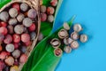 Corozo fruit in cocoa cob bowl. Bactris guineensis