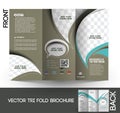 Corporate Business Tri-Fold Brochure