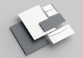 Corporate identity stationery mock up isolated on gray background. 3D illustrating.