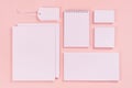 Corporate identity template, white stationery set with blank business cards, labels, brochures on pastel pink stylish background.