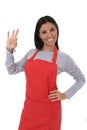 Corporate portrait of young attractive hispanic home cook woman in red apron posing happy and smiling isolated Royalty Free Stock Photo