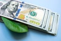 Corporate Social Responsibility concept. A bundle of money and a green leaf. Royalty Free Stock Photo