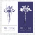 Corporative card or banner with Hand drawing iris