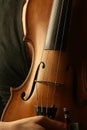 Corpus of violin instrument