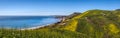 Corral Canyon Super Bloom Panorama Royalty Free Stock Photo