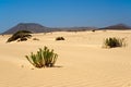 Corralejo Desert in Fuerteventura Royalty Free Stock Photo