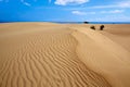 Corralejo dunes Fuerteventura island desert Royalty Free Stock Photo