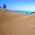 Corralejo dunes Fuerteventura island desert