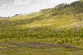 Corrals at equestrian recreation site