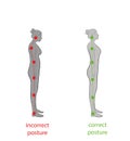 Correct alignment of human body in standing posture for good personality and healthy of spine and bone. Health care and medical il