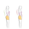 Correct alignment of human body in standing posture for good personality and healthy of spine and bone. Health care and medical il