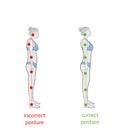 Correct alignment of human body in standing posture for good personality and healthy of spine and bone. Health care and medical il